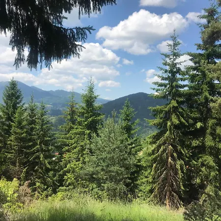 Escape View *