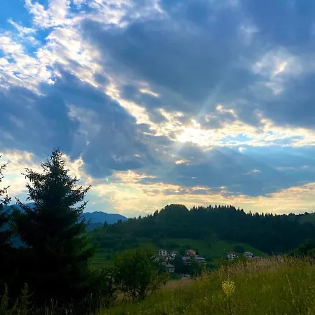 Escape View *